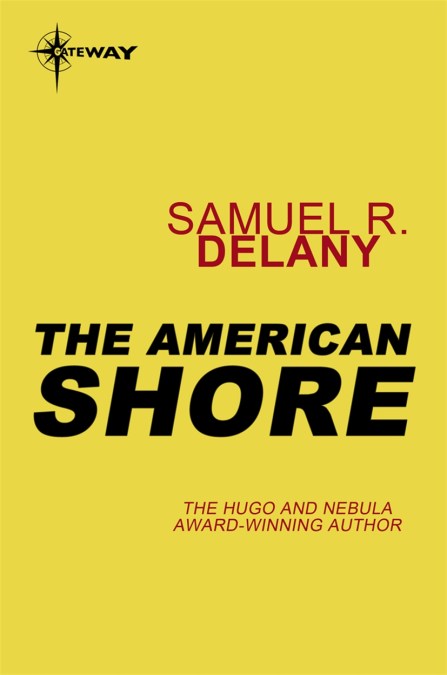 The American Shore