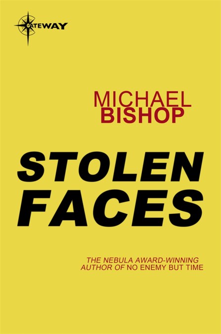 Stolen Faces