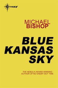 Blue Kansas Sky