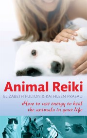 Animal Reiki