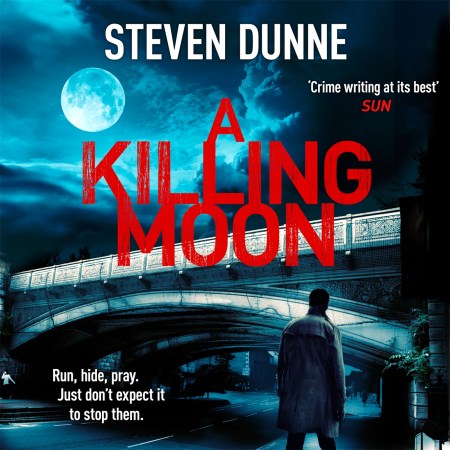 A Killing Moon (DI Damen Brook 5)