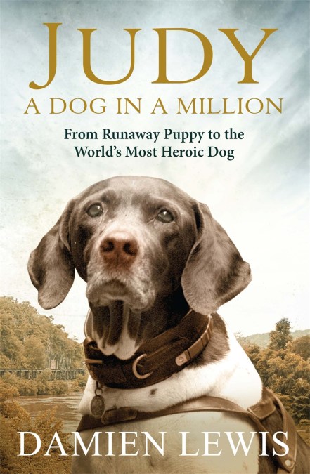 Judy: A Dog in a Million