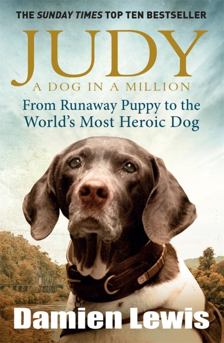 Judy: A Dog in a Million