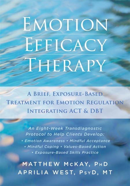 Emotion Efficacy Therapy