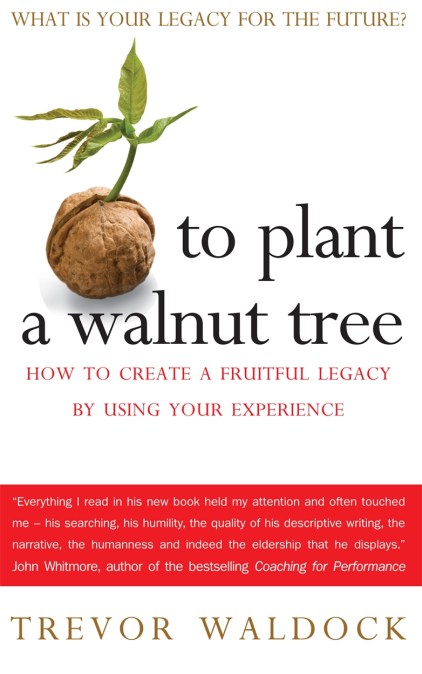 To Plant A Walnut Tree