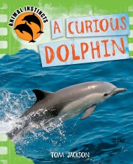 Animal Instincts: A Curious Dolphin