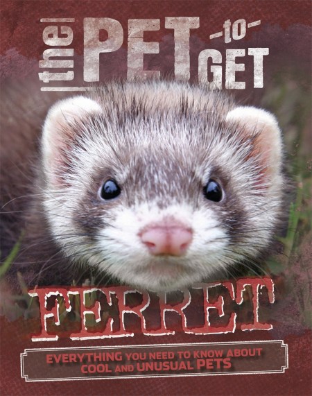 The Pet to Get: Ferret