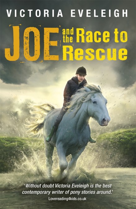 The Horseshoe Trilogy: Joe and the Race to Rescue