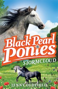 Black Pearl Ponies: Stormcloud