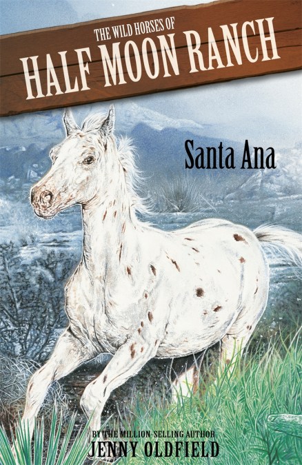 Wild Horses: Santa Ana