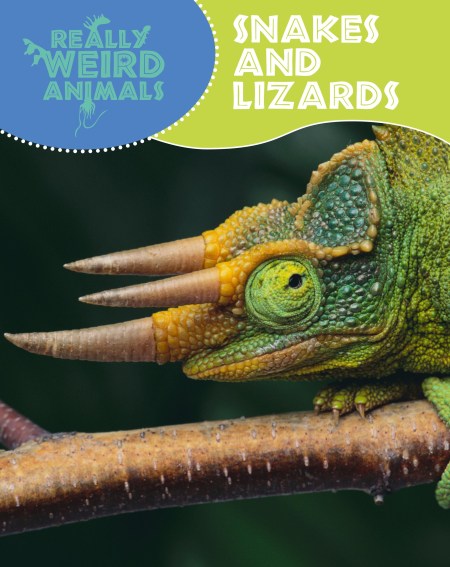 Really Weird Animals: Snakes and Lizards