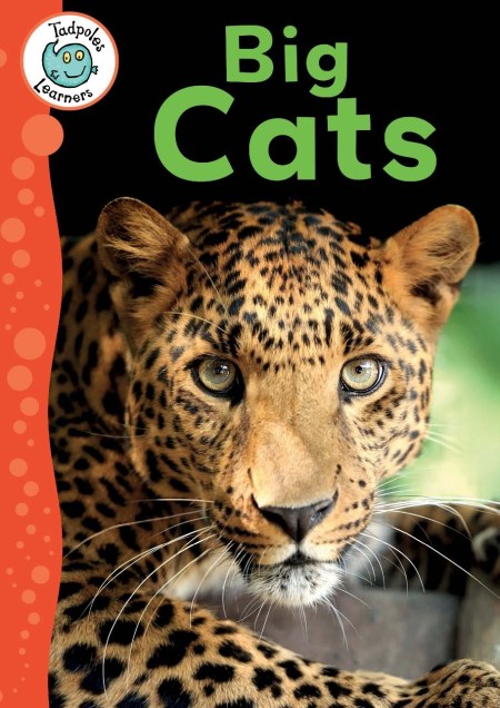 Tadpoles Learners: Big Cats