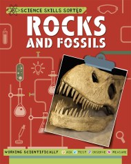 Science Skills Sorted!: Rocks and Fossils