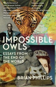 Impossible Owls