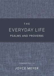 The Everyday Life Psalms and Proverbs, Platinum