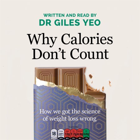 Why Calories Don’t Count