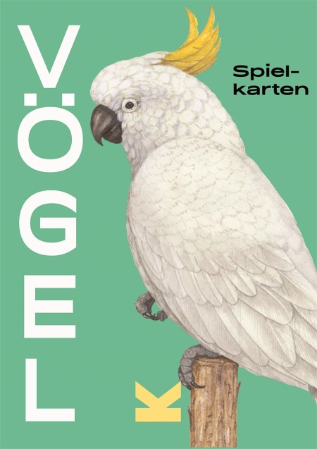 Vögel