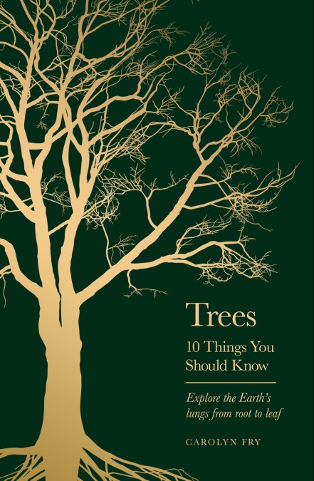 Trees – 10 Things You Should Know