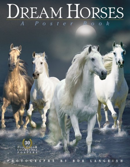 Dream Horses: A Poster Book