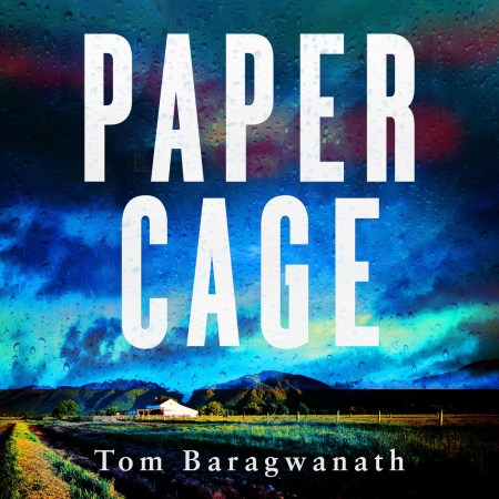 Paper Cage