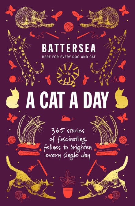 Battersea Dogs and Cats Home – A Cat a Day