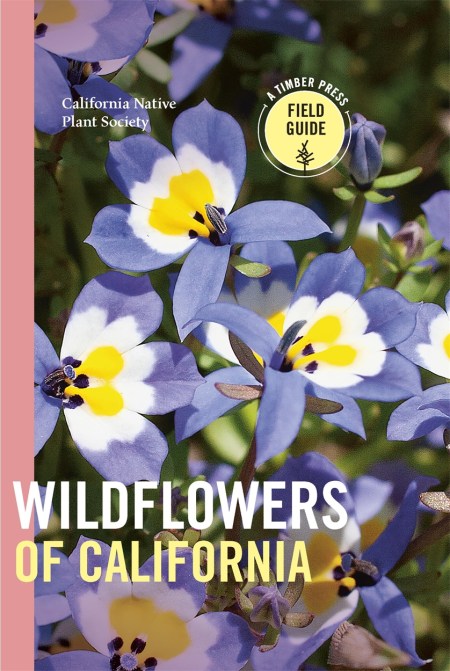 Wildflowers of California