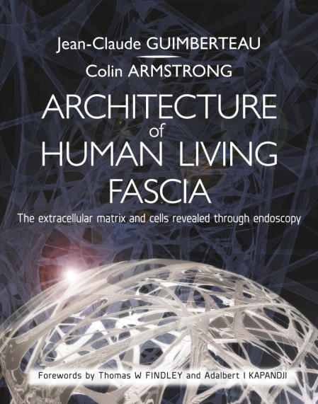 Architecture of Human Living Fascia