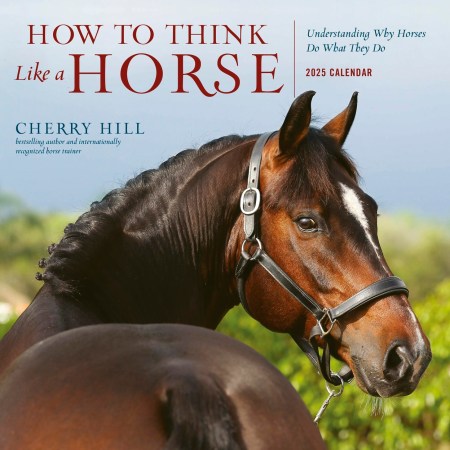 How to Think Like a Horse Wall Calendar 2025