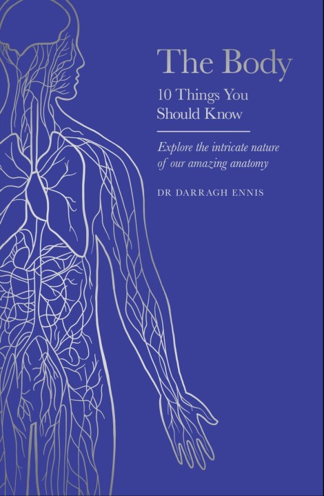 The Body – 10 Things You Should Know