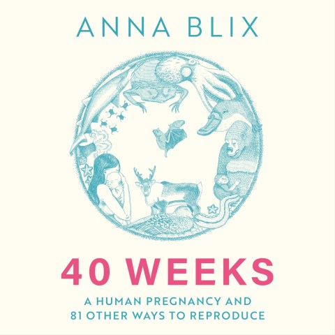 40 Weeks