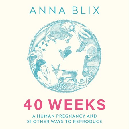 40 Weeks