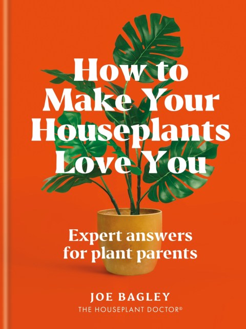 How to Make Your Houseplants Love You